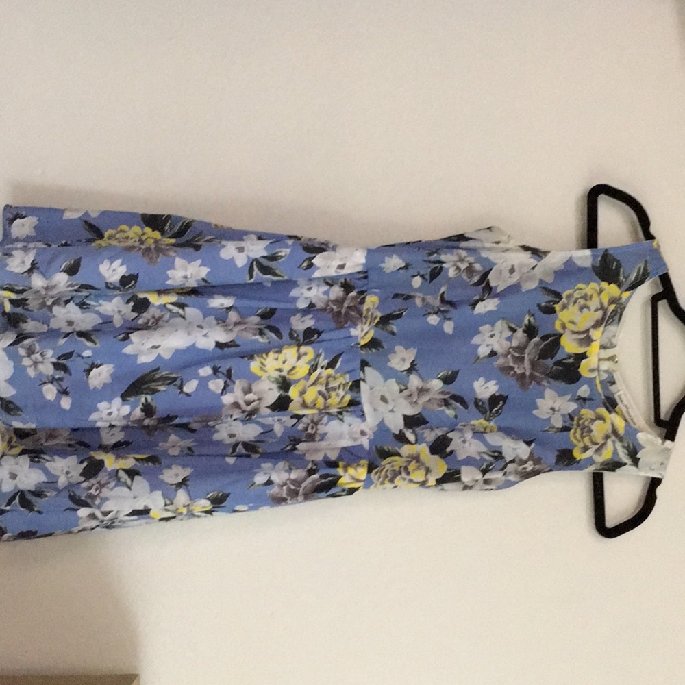 Dainty hooligan blue floral dress